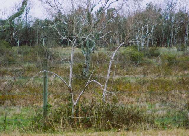 Property at 00 Fm-2004, Angleton, TX 77515
