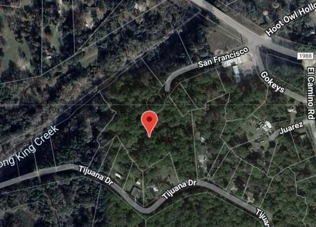 Property at 207 San Francisco, Goodrich, TX 77335