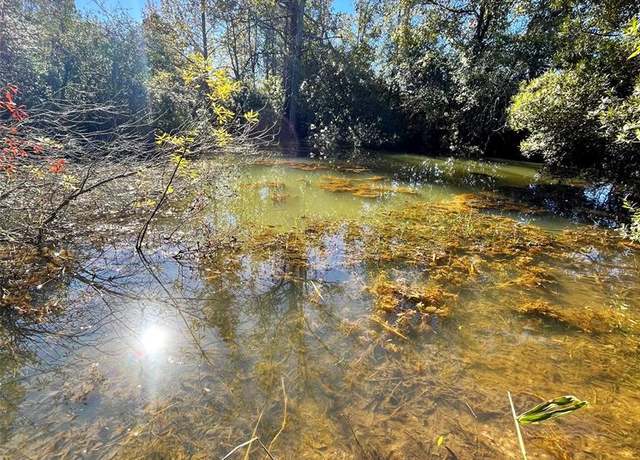 Property at 12124 County Road 122, Centerville, TX 75833