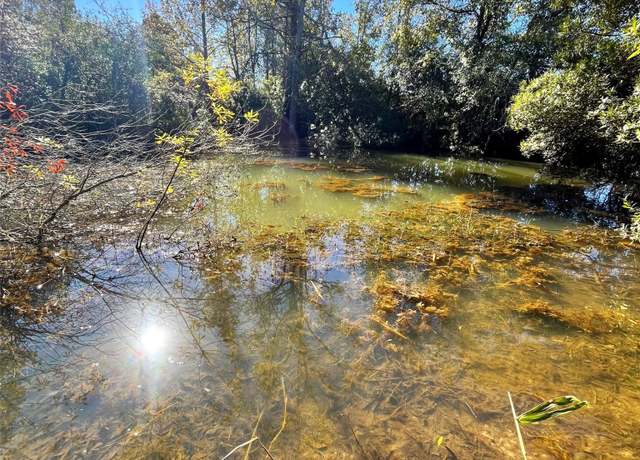 Property at 12124 County Road 122, Centerville, TX 75833