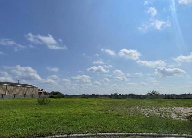 Property at 0 Bryan Loop, Rio Grande City, TX 78582