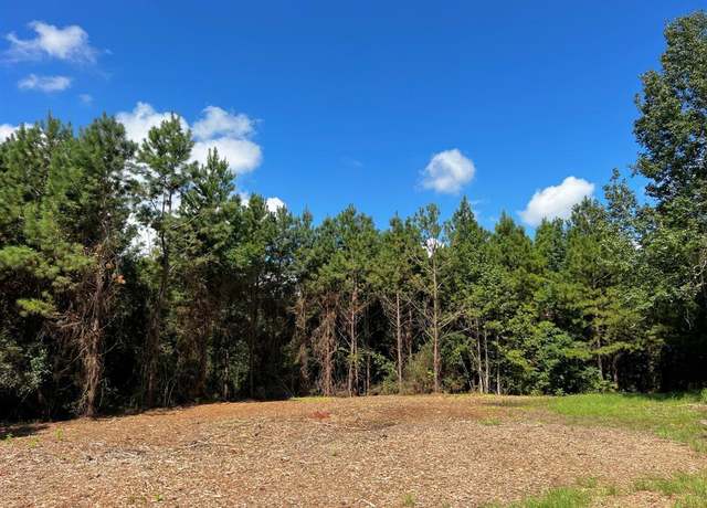Property at 1 Eugene Walker Rd, Huntington, TX 75980