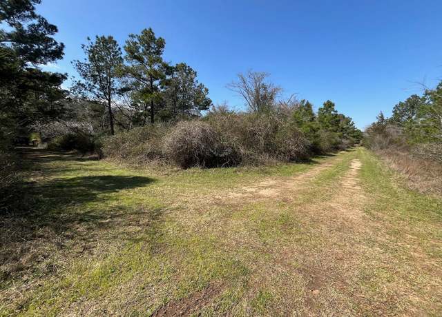 Property at 0 Hummingbird Ln, Hempstead, TX 77445
