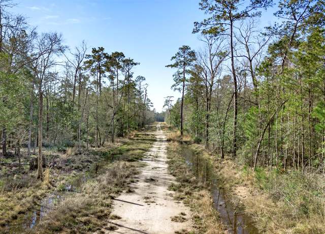 Property at 12310 Picos Rd, Saratoga, TX 77585
