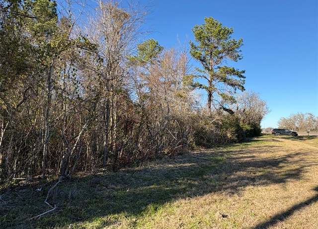 Property at 0 Us-190, Point Blank, TX 77364
