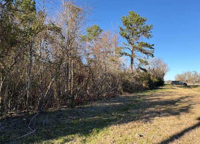 Property at 0 Us-190, Point Blank, TX 77364