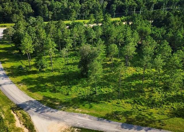Property at TBD Ridge Lake Rd, Livingston, TX 77351