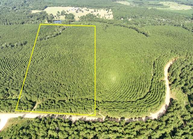 Property at 000 Shady Grove Rd, Woodville, TX 75979