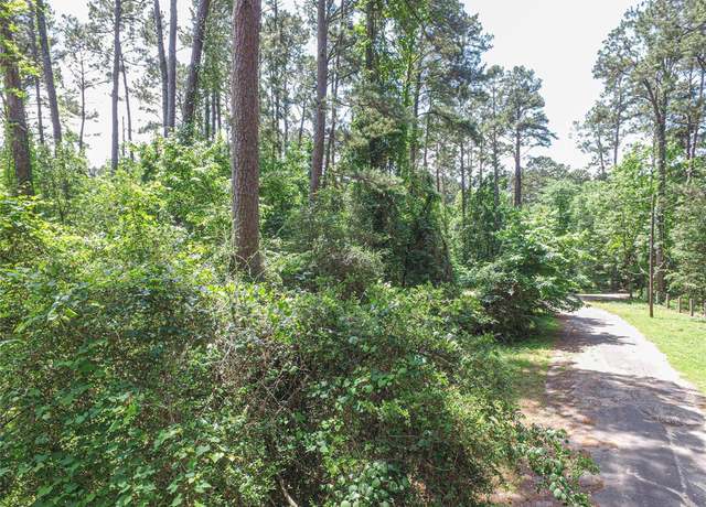 Property at TBD Grand Pine Rd, Livingston, TX 77351