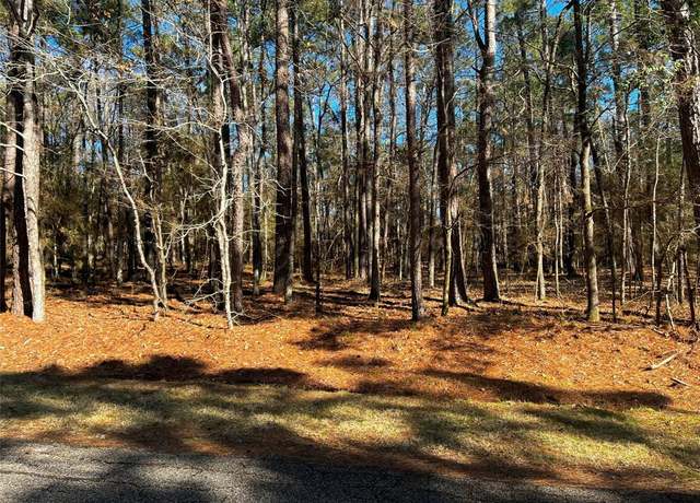 Property at 55 Green Tree Dr, Coldspring, TX 77331