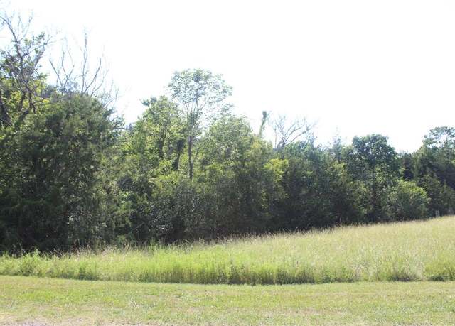 Property at 0000 Ridgeview Dr, Coldspring, TX 77331