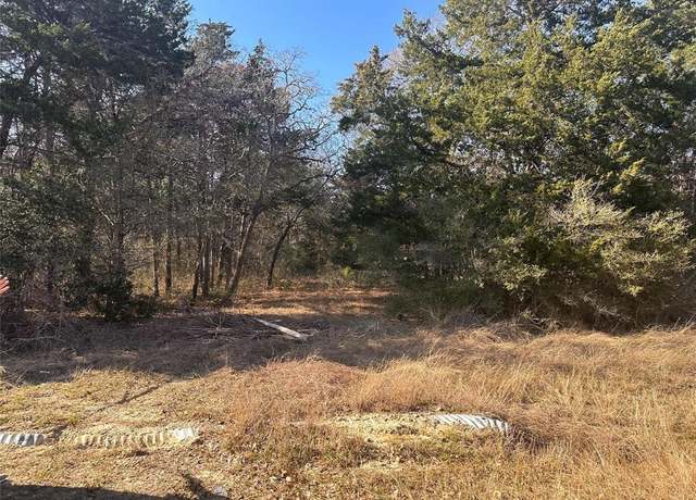 Property at 145 County Road 411, Somerville, TX 77879