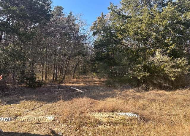 Property at 145 County Road 411, Somerville, TX 77879