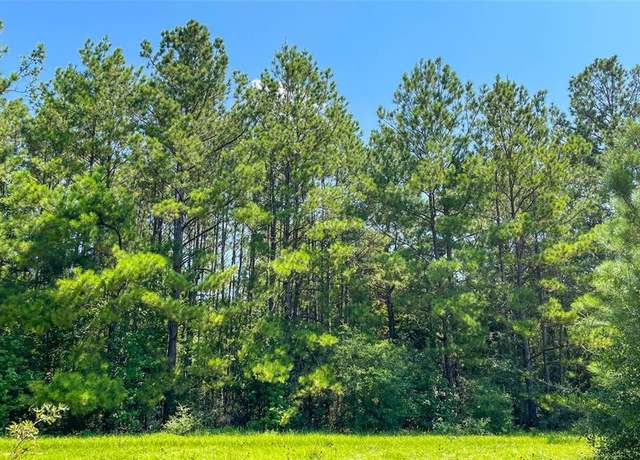 Property at 1 TBD County Road 3064, Kirbyville, TX 75966