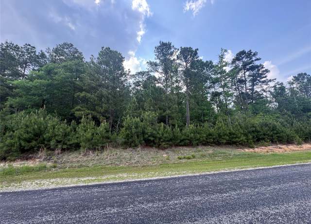Property at 40-16-4a Sundog Rd, Huntsville, TX 77340