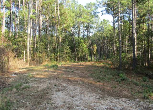 Property at 801 Pelican Rd, Shepherd, TX 77371