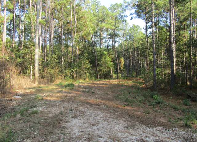 Property at 801 Pelican Rd, Shepherd, TX 77371