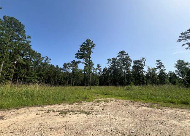 Property at 9537 State Highway 146 S, Livingston, TX 77351