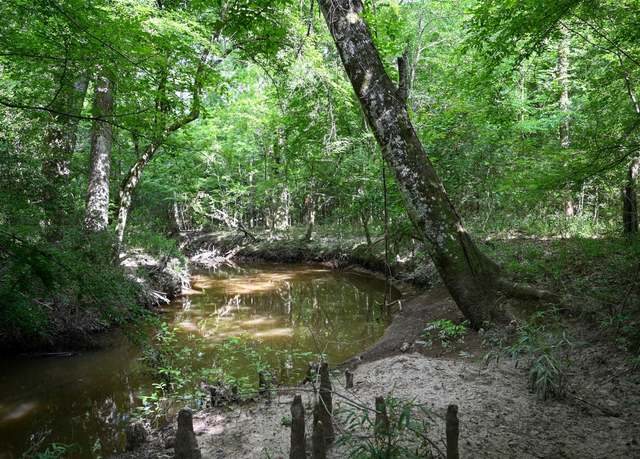 Property at 00 Co Rd 2150, Woodville, TX 75979