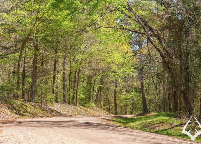 Property at TBD County Road 435 D, Laneville, TX 75667