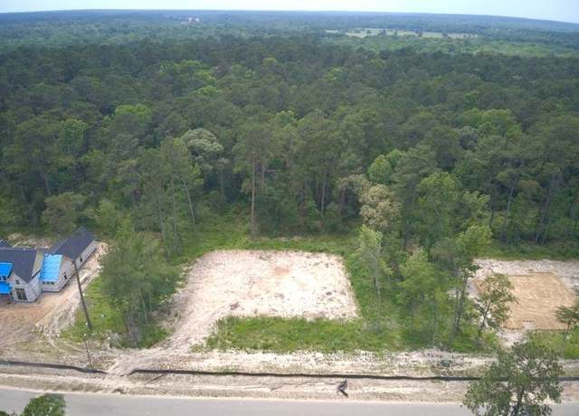 Property at 8421 Laughter Ln, Montgomery, TX 77316