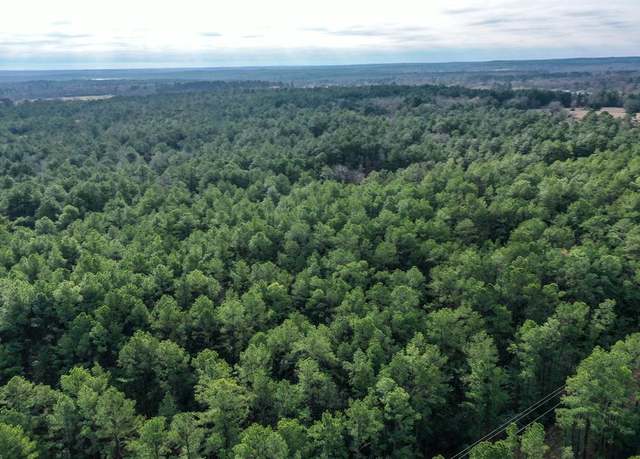 Property at 62 Ac FM 980, Huntsville, TX 77320