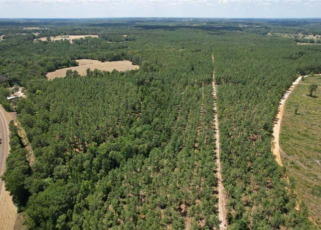 Property at TBD FM 2423, Grapeland, TX 75844