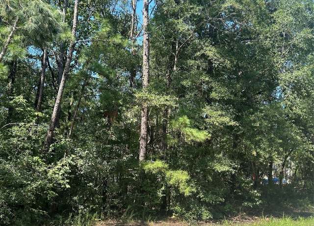 Property at TBD Southland Cir, Livingston, TX 77351