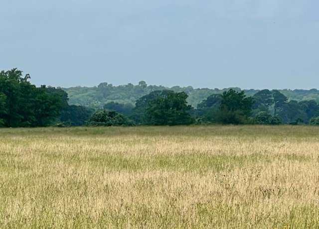 Property at 38 acres Shaws Bend Rd, Columbus, TX 78934