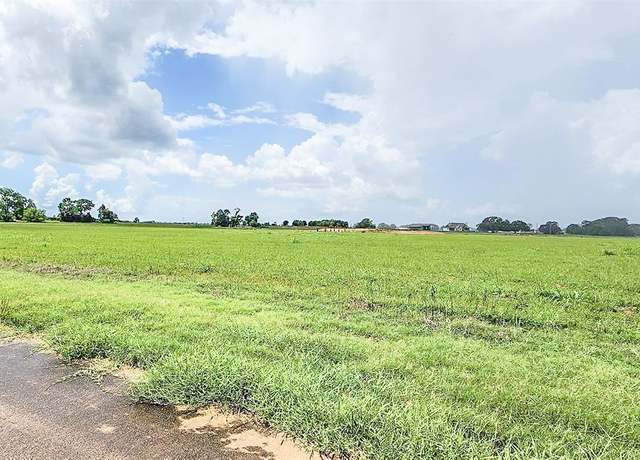 Property at 00 Conestoga Trl, Angleton, TX 77515