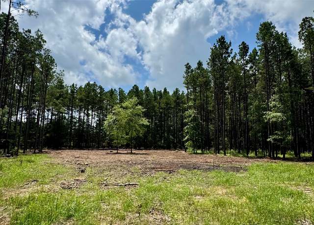 Property at TBD County Road 2626, Wells, TX 75976