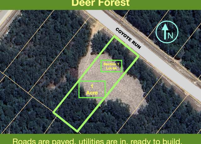 Property at 54 Coyote Run, New Waverly, TX 77358