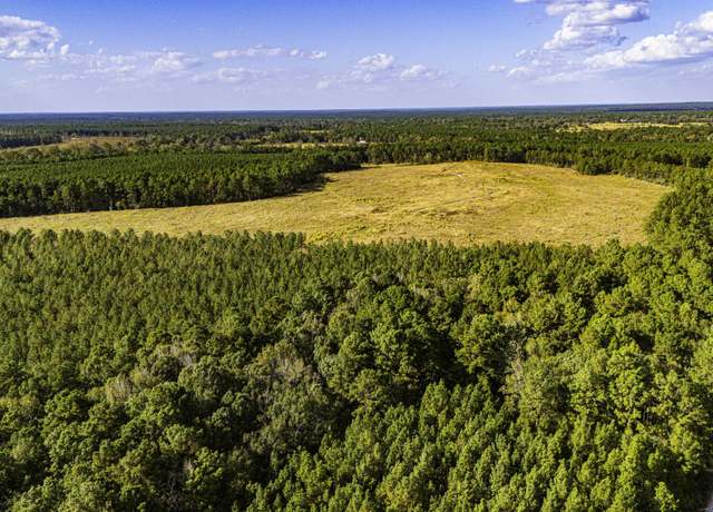 Property at 878 Joe Hudson Rd, Trinity, TX 75845