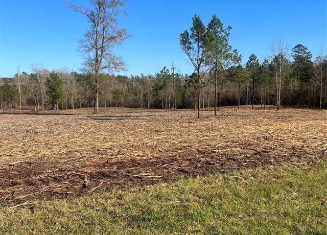 Property at 10975 Highway 96 South, San Augustine, TX 75972