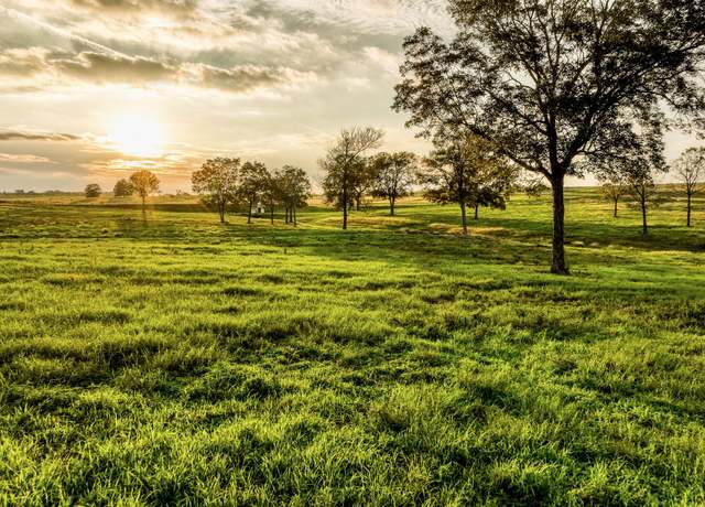 Property at TBD Sunny Hills, Lot 1 Dr, Chappell Hill, TX 77426