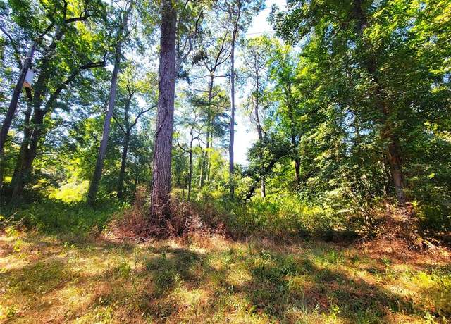 Property at TBD Mockingbird Ln, Shepherd, TX 77371
