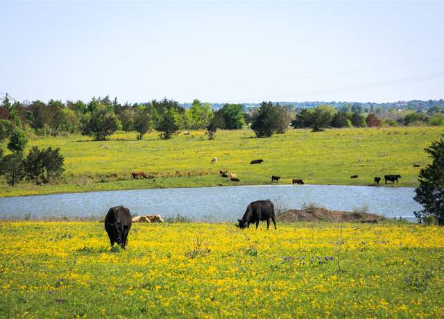 Property at 103 Acres Chadwick Hogan Rd, Chappell Hill, TX 77426