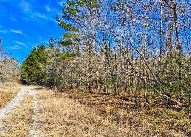 Property at TBD Veal St, Chester, TX 75936
