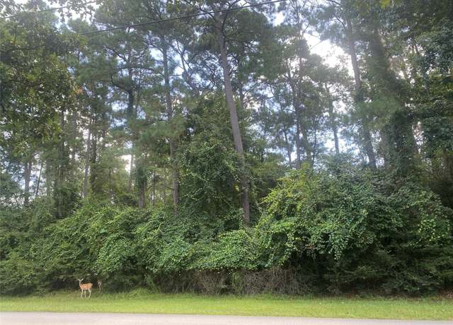 Property at 22922 Blackgum Dr, Magnolia, TX 77355