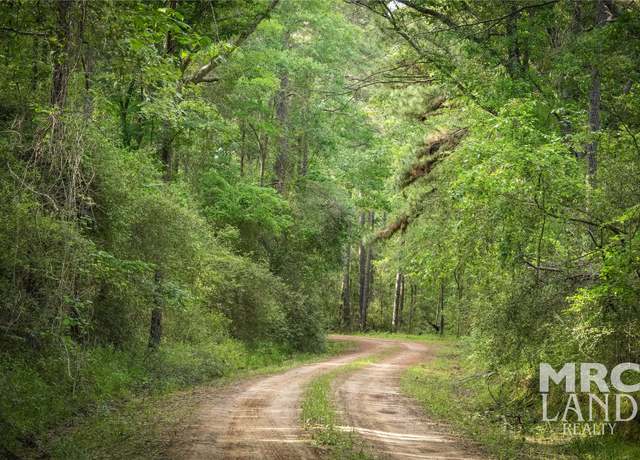 Property at 00 County Road 4690, Kennard, TX 75847