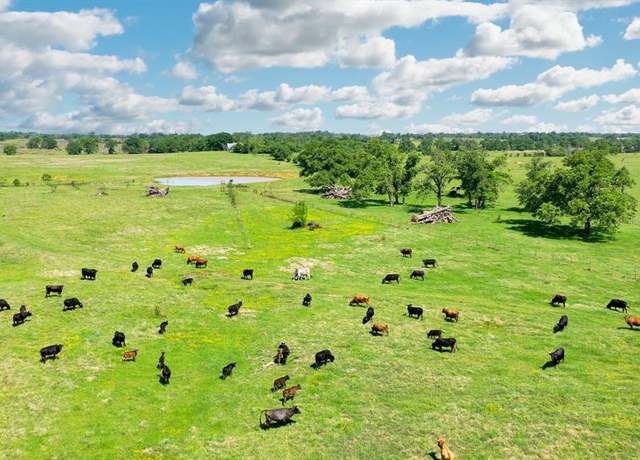 Property at 126.5 AC FM 977, Leona, TX 77871