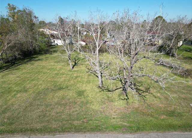 Property at 409 Carlton St, Brazoria, TX 77422