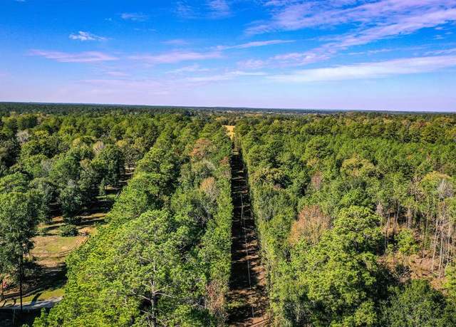 Property at Tract 2 FM 405, Huntsville, TX 77340