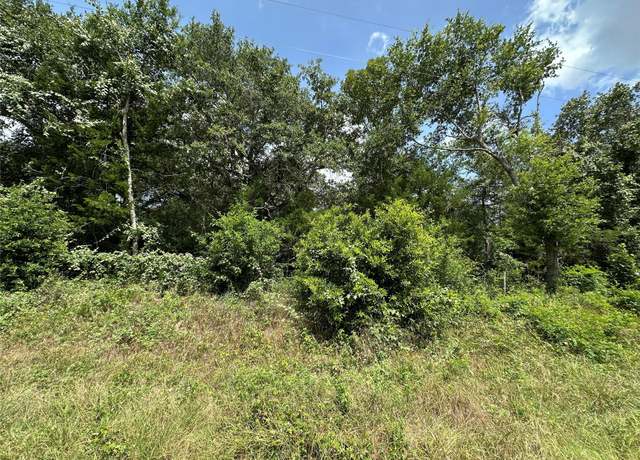 Property at 000000 Overlook Rd, Caldwell, TX 77836