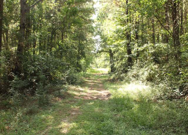 Property at TBD 10th St, Shepherd, TX 77371