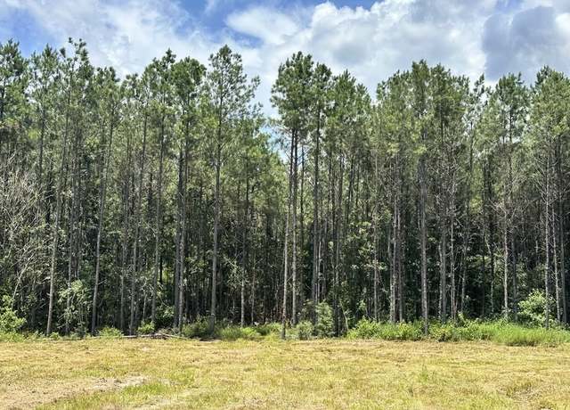 Property at TBD County Road 4210, Woodville, TX 75979