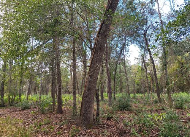 Property at 27055 Sandy Crk, Magnolia, TX 77355