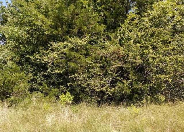 Property at Lots 634 & 635 Shoshone Dr, Gordonville, TX 76245