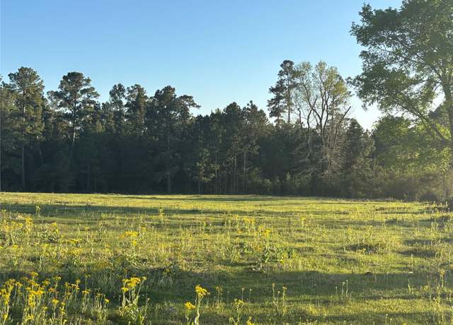 Property at TBD Cr4120, Lovelady, TX 75851