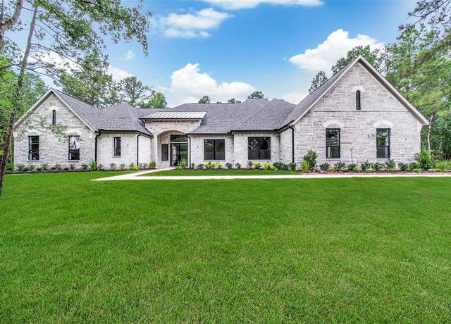 Property at 25123 Chisos Bnd, Montgomery, TX 77316, 4 beds, 5.5 baths